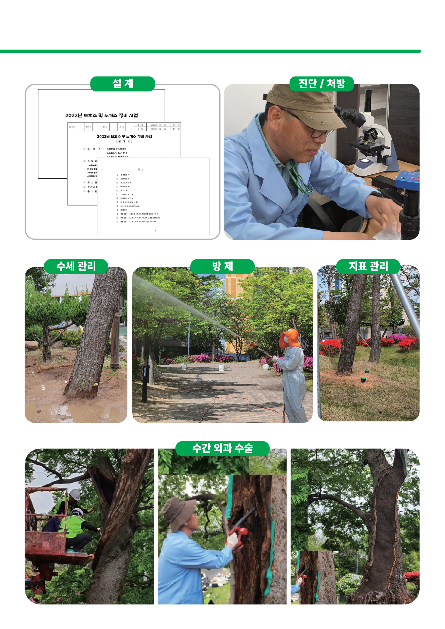  화수목나무병원의 주요업무