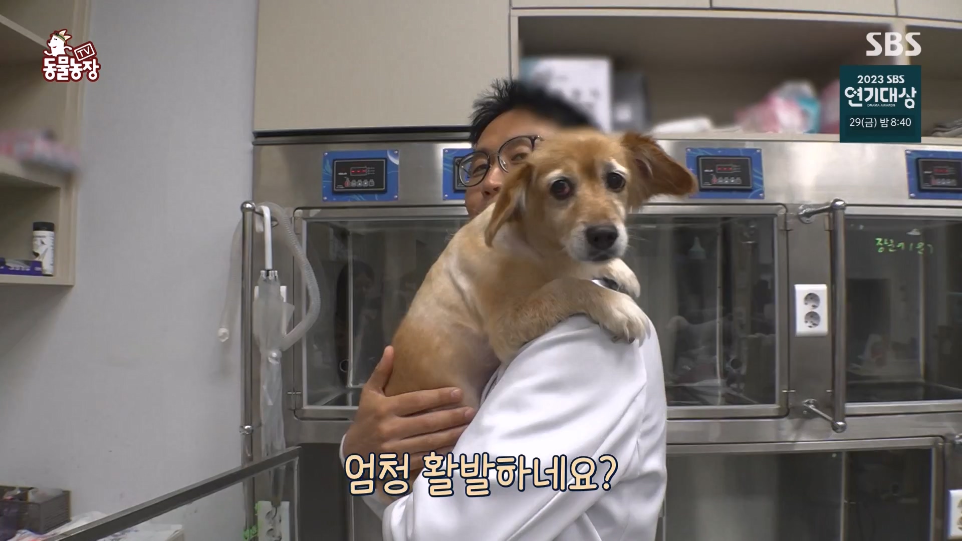 TV 동물농장.E1151.231224p-NEXT.mp4_20231224_154145.404.jpg