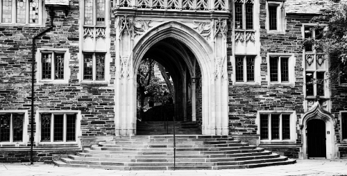 미국 대학 1위: Princeton