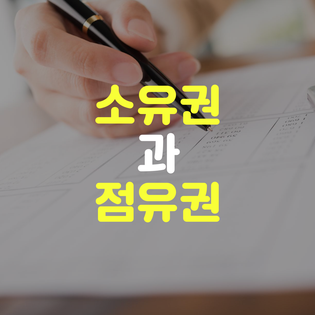  권리분석 - 소유권과 점유권