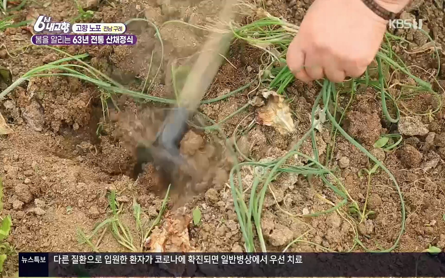 6시 내고향.E7494.220322p.H264-F1RST.mp4_20220326_182157.293.jpg