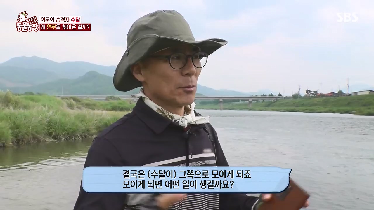 TV 동물농장.E1178.240630.ts_20240630_164649.544.jpg