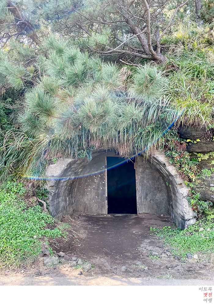 둘레길 코스와 시간제주 여행에 좋은 송악산 10