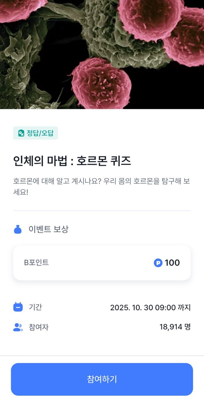 마이비