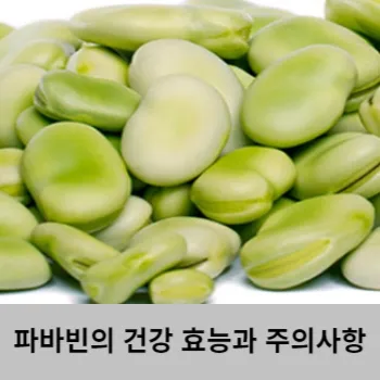  파바빈의 건강 효능과 주의사항,먹는법 / 당신이 알아야 할 모든 것