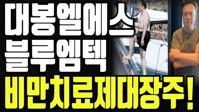 비만치료제 대장주 관련주 TOP5 총정리_2