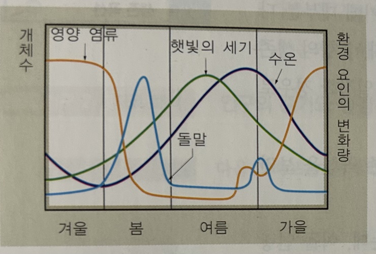 돌말-개체군의-계절적-변동