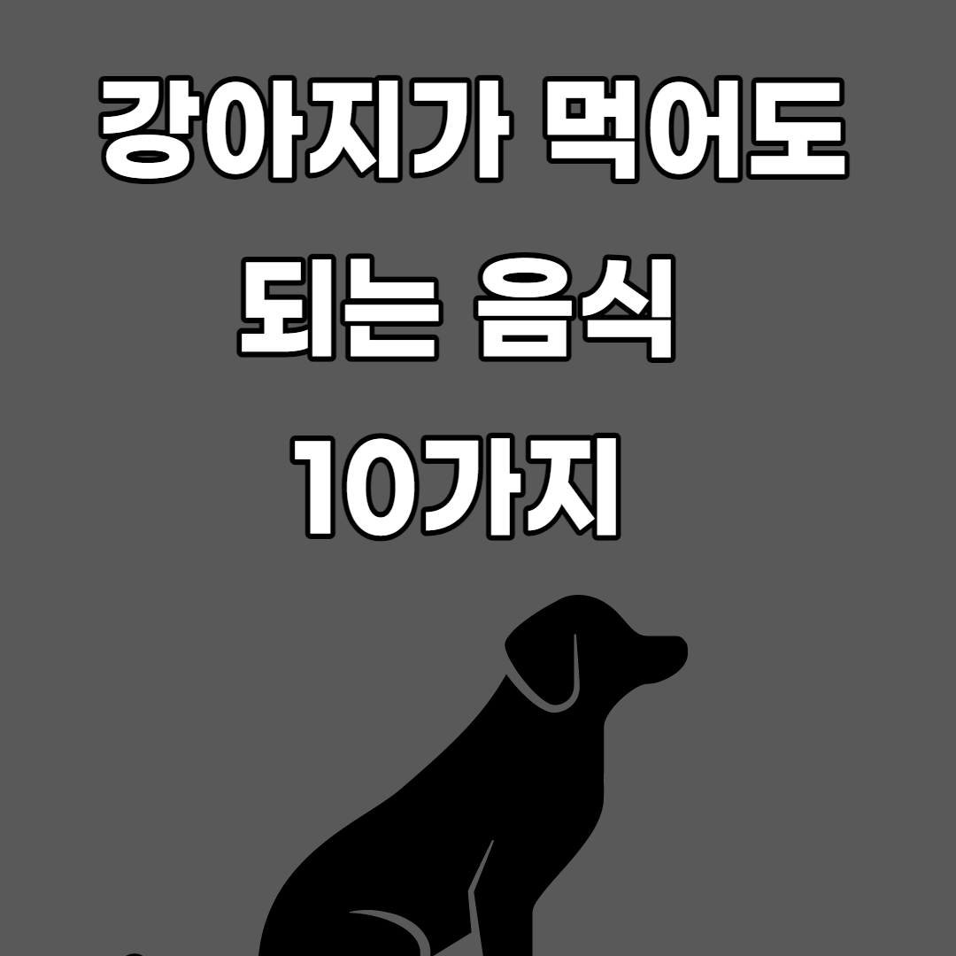 강아지가 먹어도 되는 음식