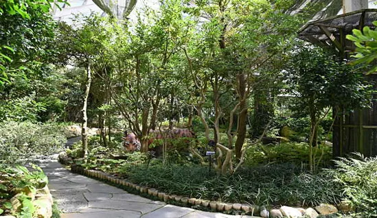 가야산야생화식물원