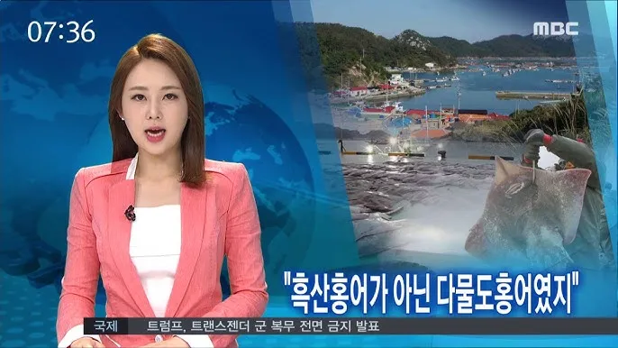 다물도 홍어 보건진료소 교회_5