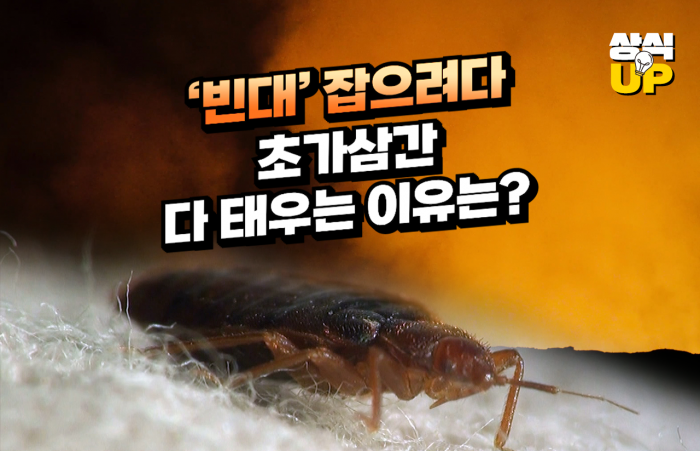 빈대 잡으려고 초가삼간 태운다_아무 생각없이 싫은 것을 없애려고 덤빈다