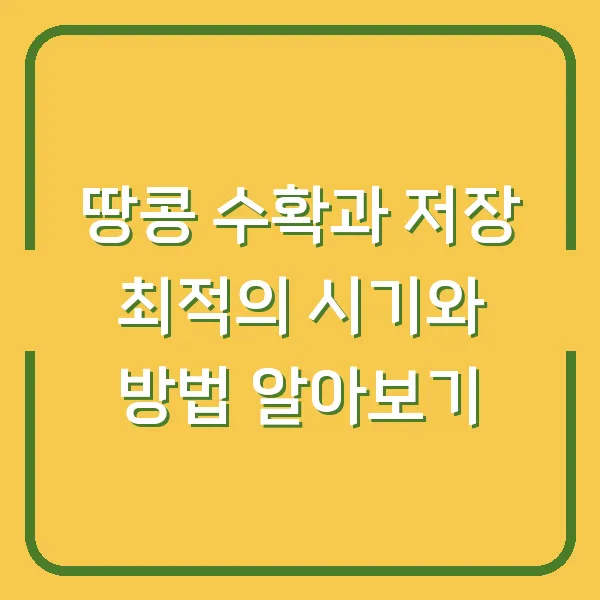 땅콩 수확과 저장 최적의 시기와 방법 알아보기