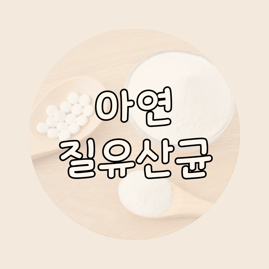 아연질유산균