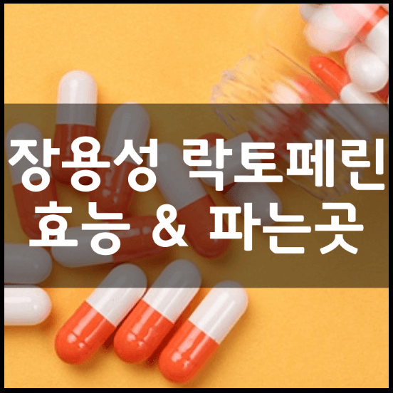 장용성-락토페린-300-분말-가루-효능-부작용-복용법-가격-추천-정리-썸네일