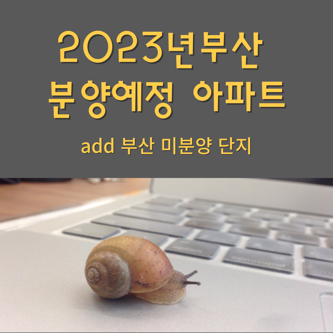 2023년 부산 분양예정 아파트 및 미분양 단지