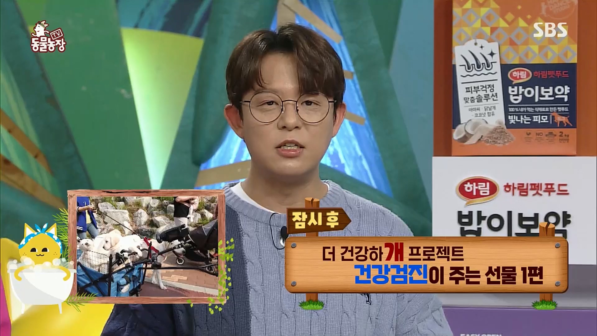 TV 동물농장.E1097.221127p.H264-F1RST.mp4_20221127_181659.493.jpg