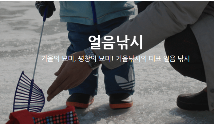 평창송어축제