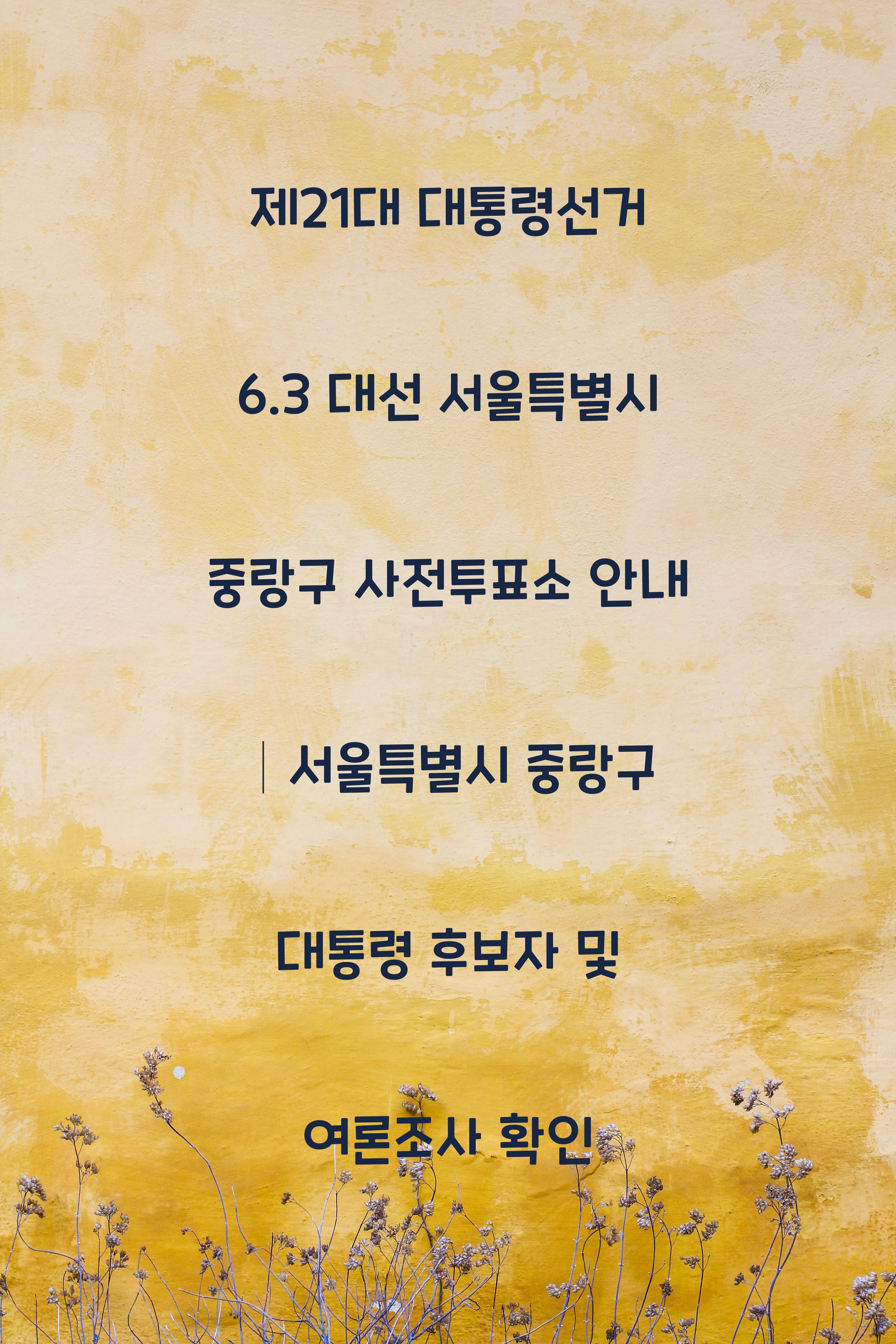 제21대 대통령선거 6.3 대선 서울특별시 중랑구 사전투표소 안내 │서울특별시 중랑구 대통령 후보자 및 여론조사 확인