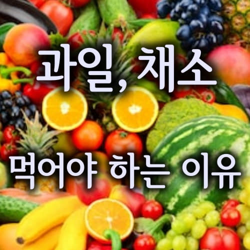  과일과 채소(야채)를 많이 먹어야 하는 이유