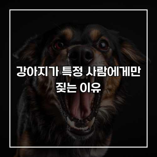 강아지가 특정 사람에게만 짖는 이유