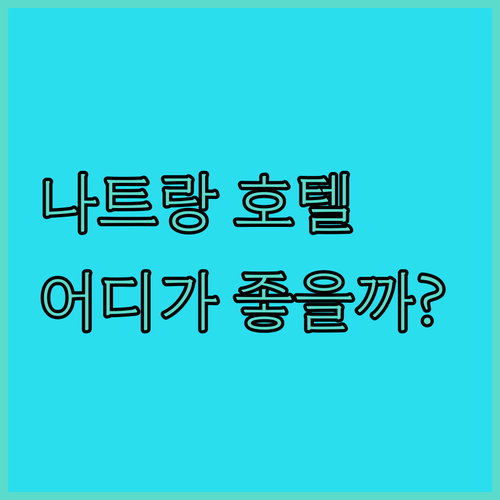나트랑 호텔 추천 버고 호텔 vs 그