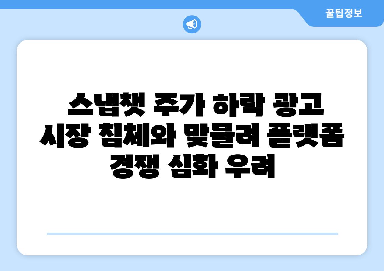  스냅챗 주가 하락 광고 시장 침체와 맞물려 플랫폼 경쟁 심화 우려