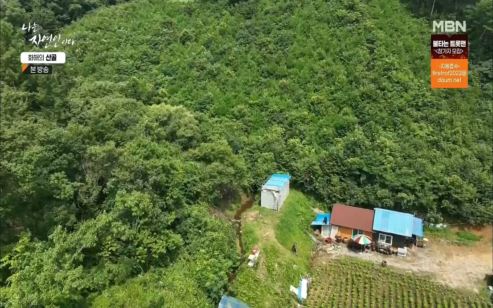 나는 자연인이다.E515.220817p.H264-F1RST.mp4_20220818_201908.467.jpg