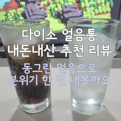  다이소 얼음통 추천 :: 동그란 얼음을 예쁘게 만들 수 있어요