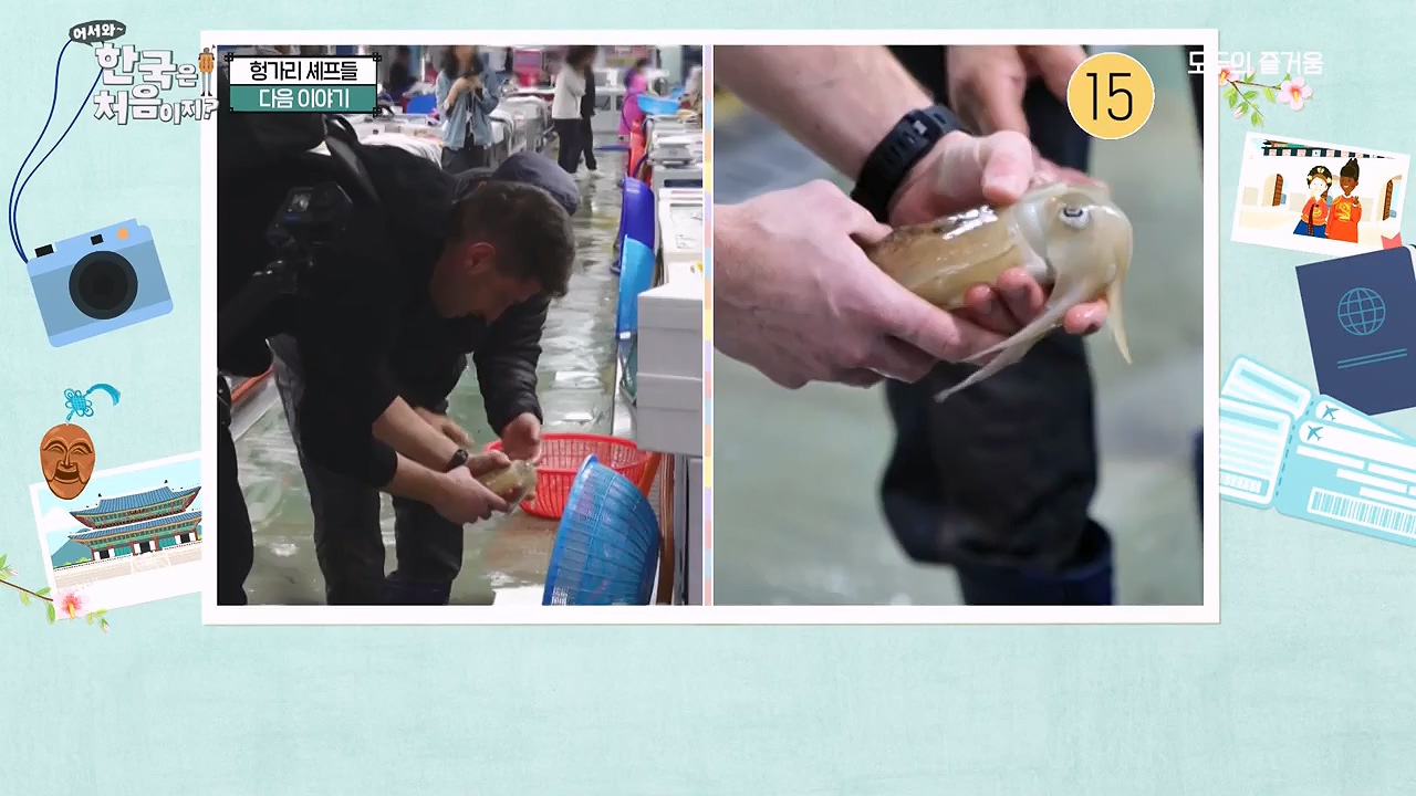 어서와 한국은 처음이지 시즌2.E317.240607p-NEXT.mp4_20240607_201733.552.jpg