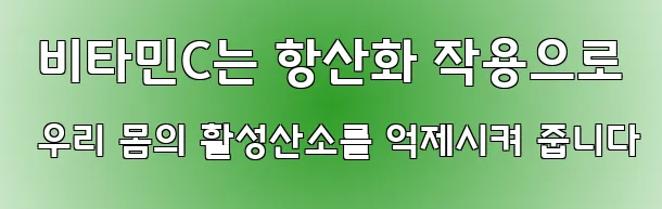  비타민C는 항산화 작용으로 우리 몸의 활성산소를 억제시켜 줍니다