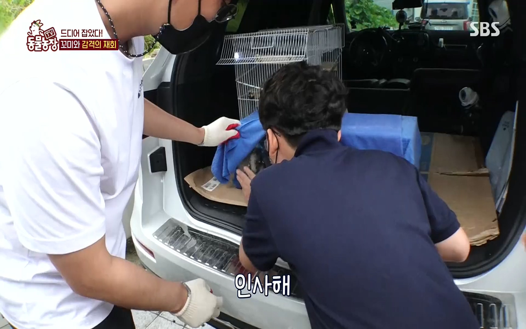 TV 동물농장.E1086.220911p.H264-F1RST.mp4_20220911_175410.270.jpg