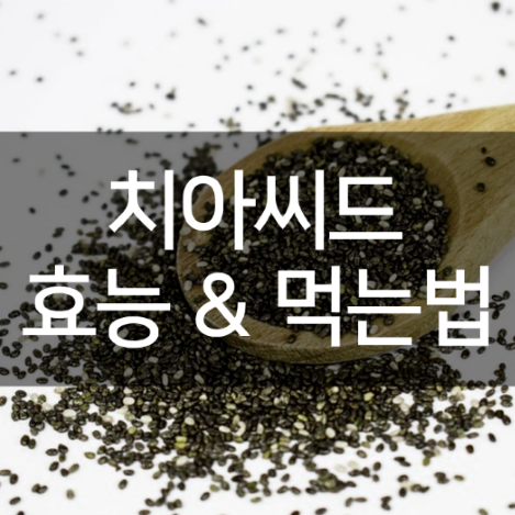  "치아 씨드 효능: 자연 속 비밀, 건강한 입소문"