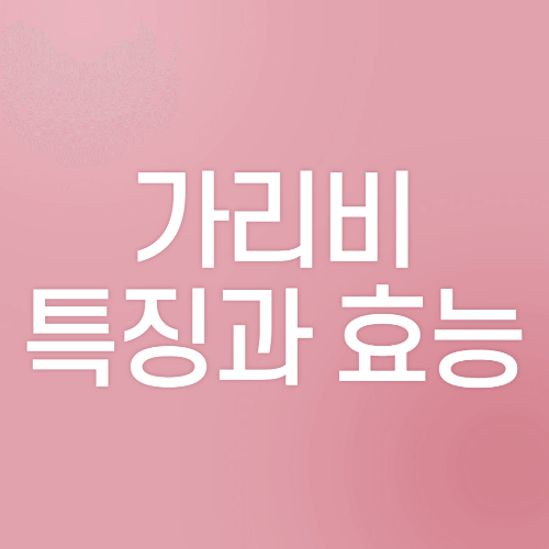  가을 제철 음식인 '가리비'에 대해 알아보기