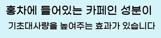  홍차에 들어있는 카페인 성분이 기초대사량을 높여주는 효과가 있습니다