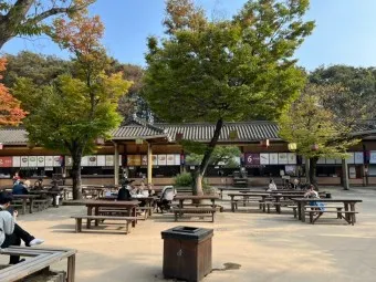 민속촌 입장료 한국민속촌 용인 제주 민속촌 맛집 놀이기구_5