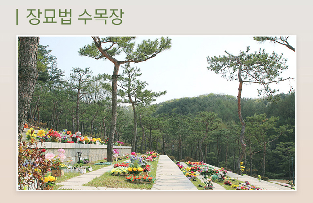  경기도 수목장 납골당가격비교 알아보기!