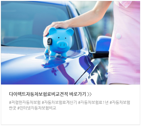 에쿠스자동차보험료