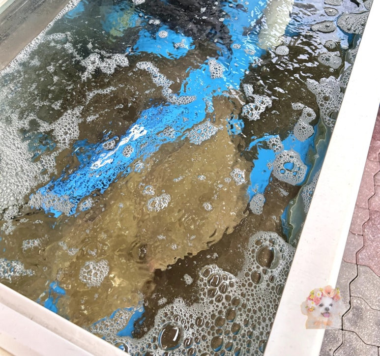 청주횟집 이미지