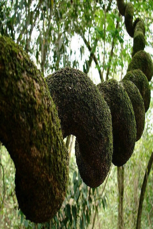 img.jpg