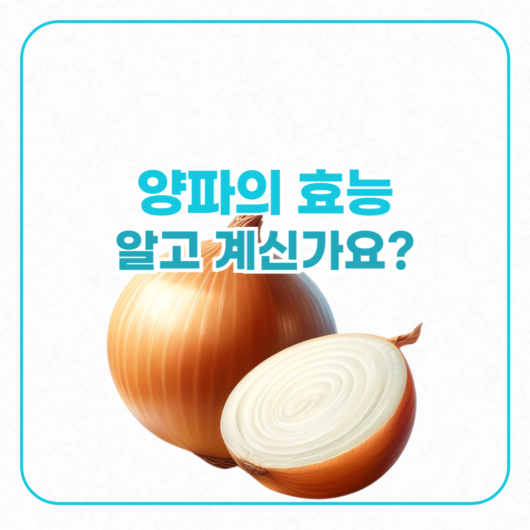 양파의효능알고계신가요?