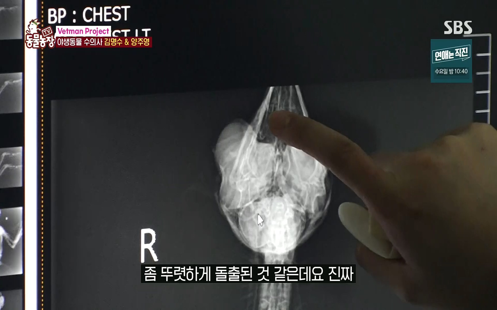 TV 동물농장.E1081.220807p.H264-F1RST.mp4_20220807_213628.179.jpg