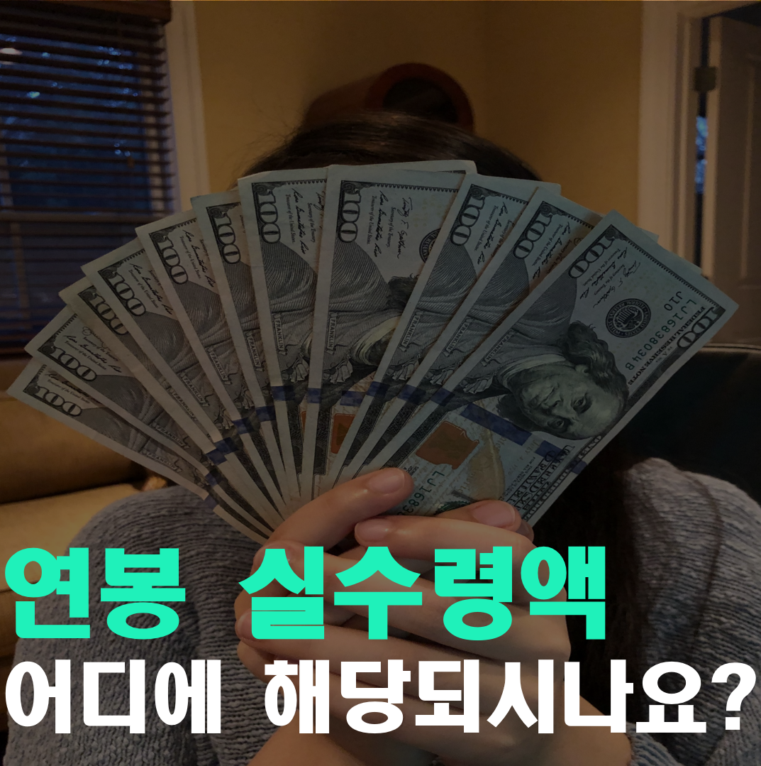  2020년 연봉(월급) 실수령액