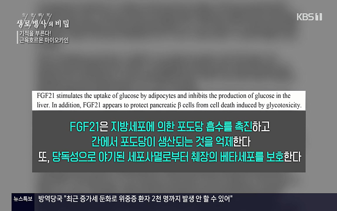 생로병사의 비밀.E816.220331p-NEXT.mp4_20220331_185217.328.jpg