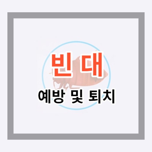 빈대 예방 및 퇴치법, 방역 팁으로 빈대 고민 덜어내기