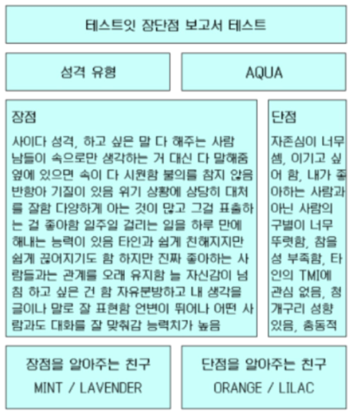 테스트잇 장단점 보고서 테스트