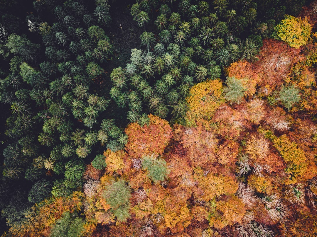Ecology