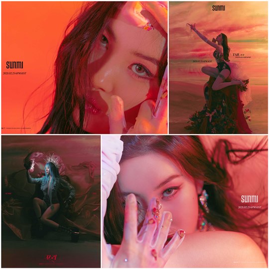  선미 컴백 꽃같네 콘셉트 사진 타이틀곡 꼬리