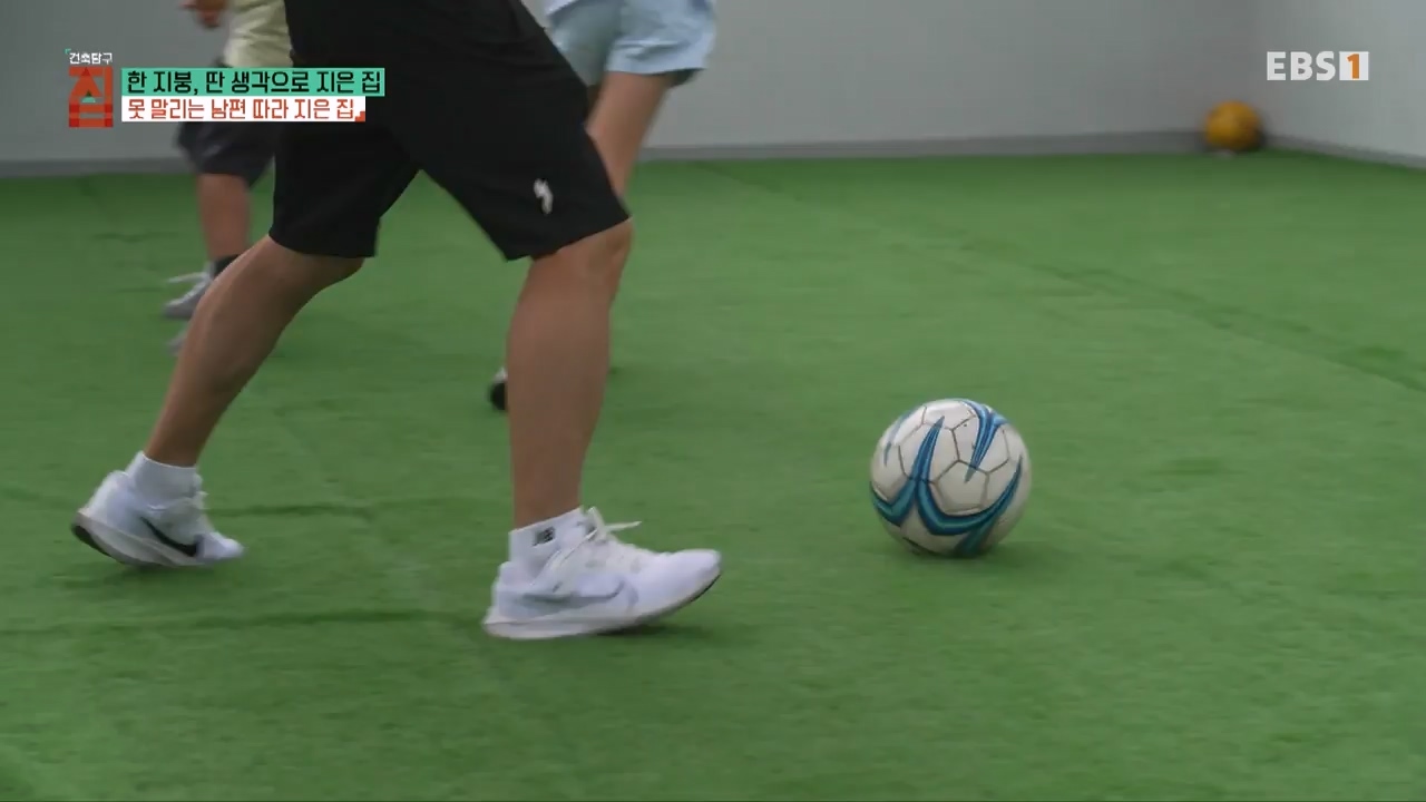 TV - 전 국민의 평생학교 EBS한 지붕, 딴 생각으로 지은 집.mp4_20231226_204005.313.jpg