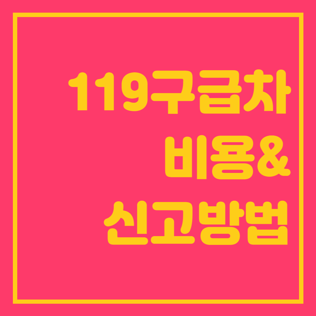  119 구급차 비용, 사설 구급차 129