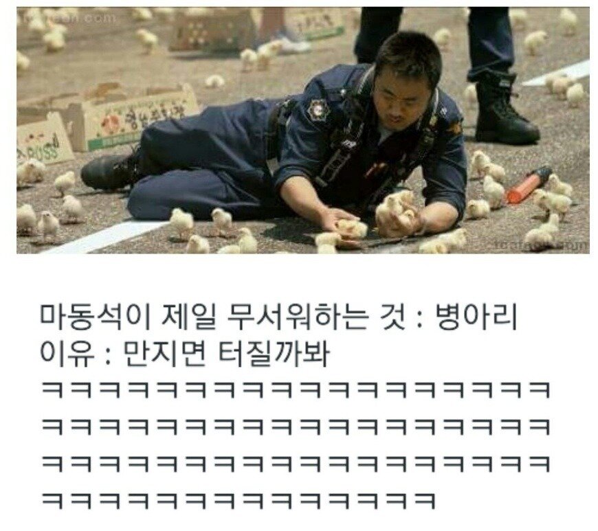  마동석이 병아리를 무서워하는 이유
